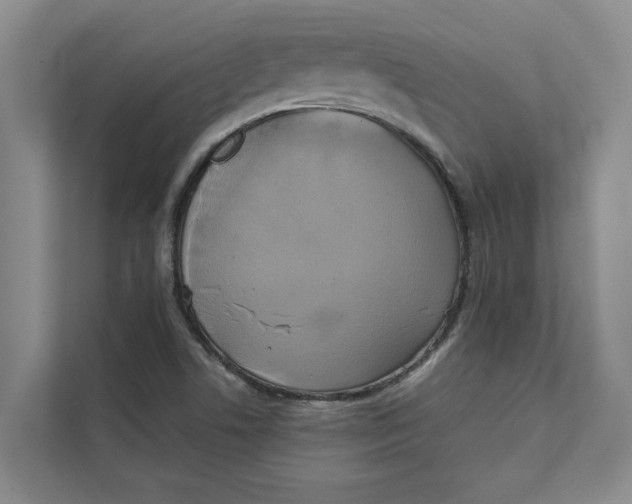 X0000111481506200908041111