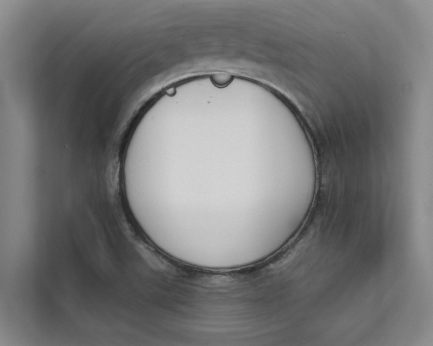X0000111481507200908041111