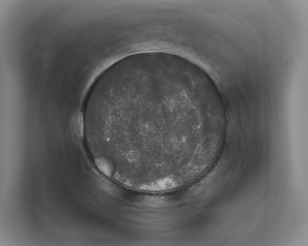 X0000111481509200908041112