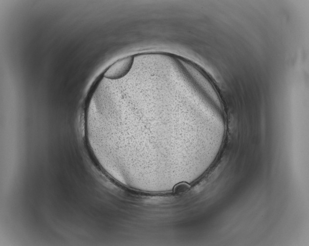 X0000111481510200908041112