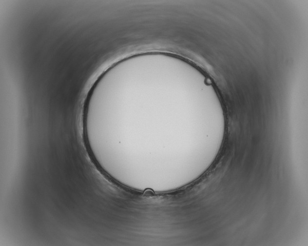 X0000111481512200908041112