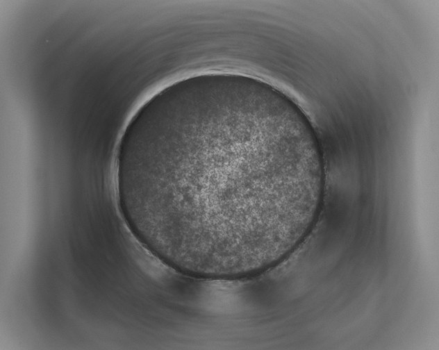 X0000111481514200908041112