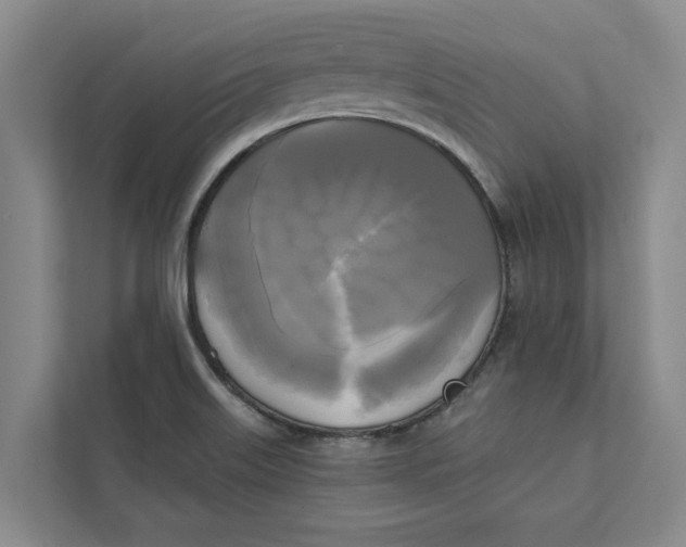 X0000111481515200908041112