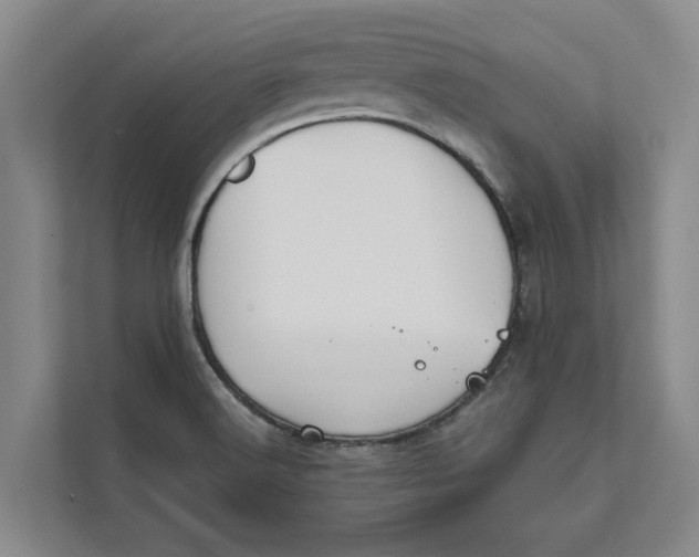 X0000111481516200908041112