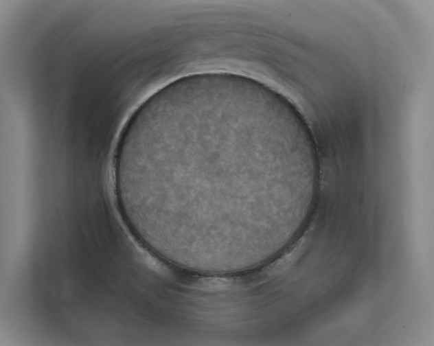 X0000111481517200908041112