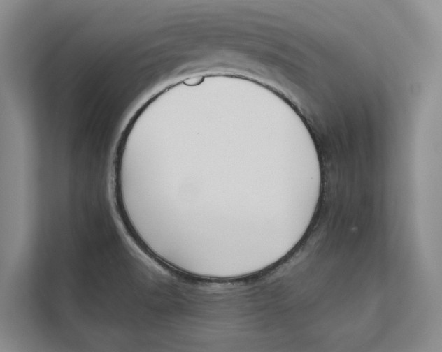 X0000111481518200908041112