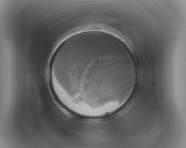 X0000111481519200908041112