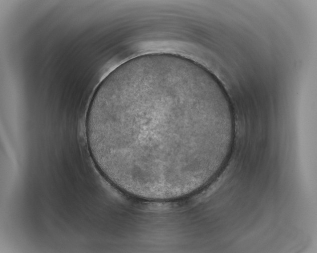 X0000111481521200908041112