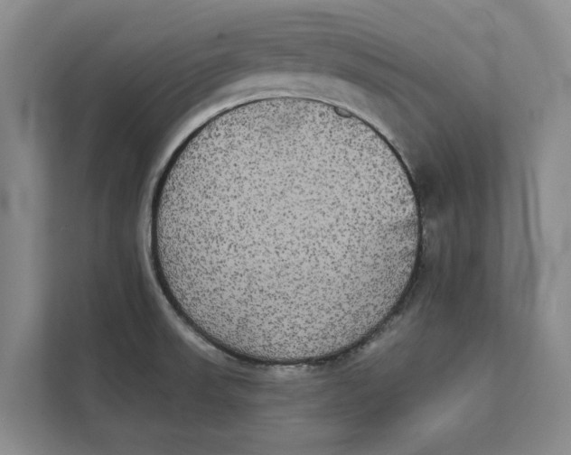 X0000111481523200908041112