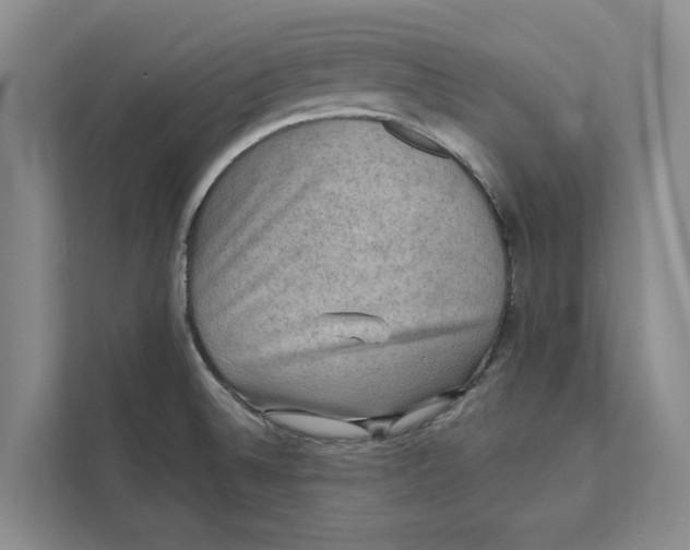 X0000111481524200908041112