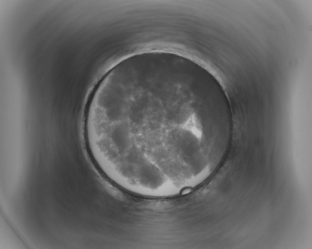 X0000111481525200908041112