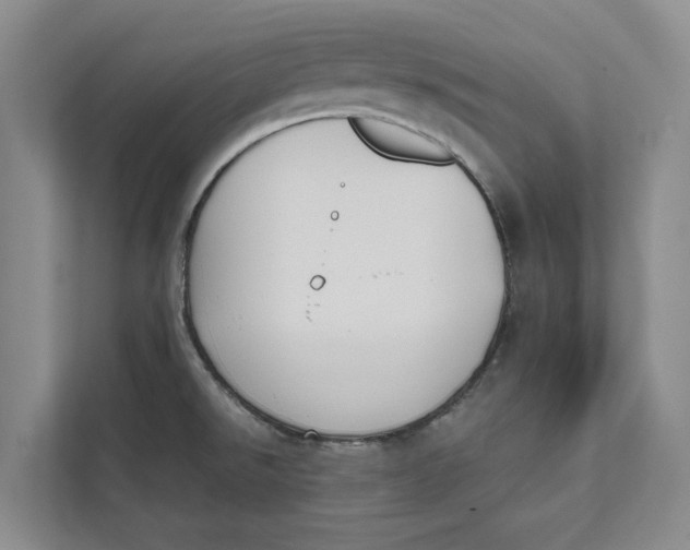 X0000111481526200908041112