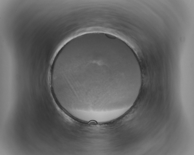 X0000111481527200908041112