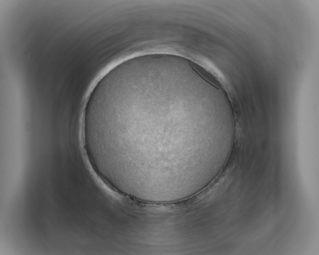 X0000111481528200908041112