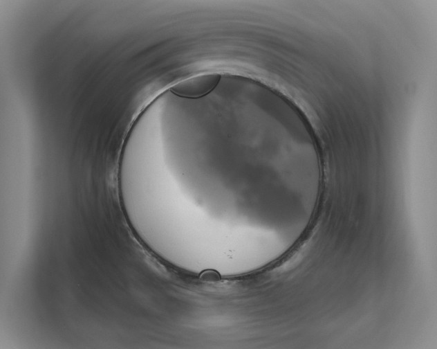 X0000111481529200908041112