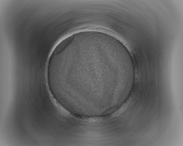 X0000111481530200908041112