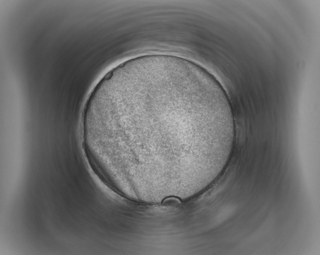 X0000111481531200908041112