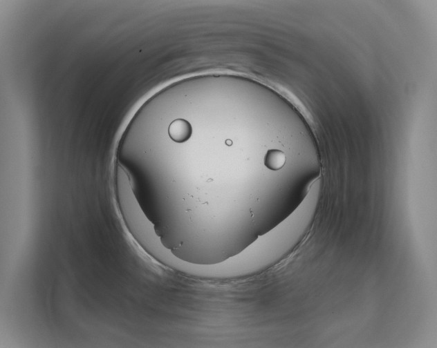 X0000111481532200908041112