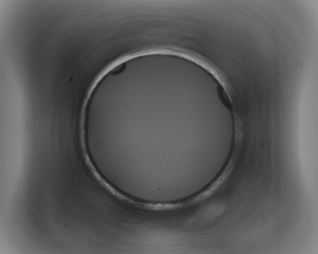 X0000111481534200908041112