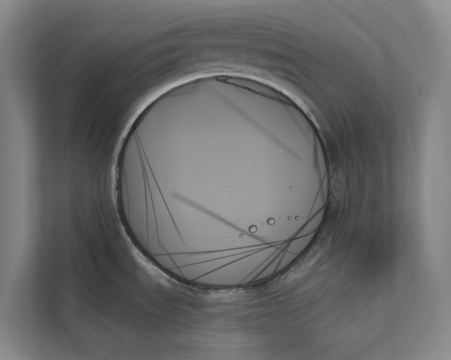 X0000111481535200908041112