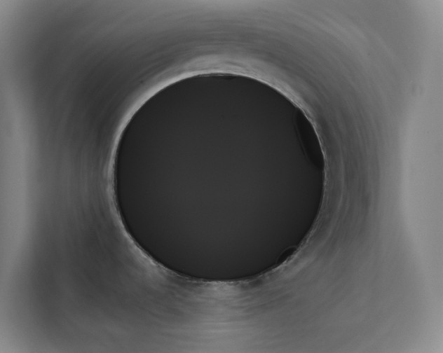 X0000111481536200908041112