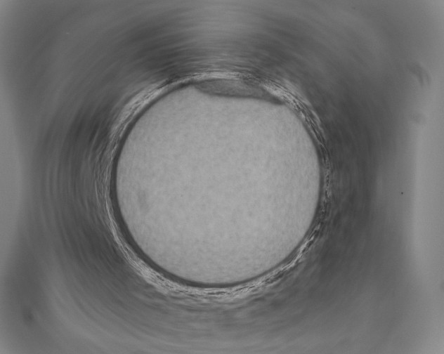 X0000111480001200908111212