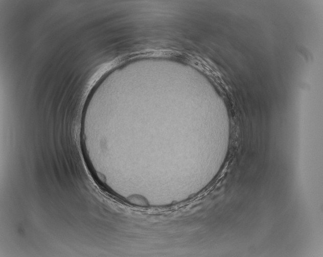 X0000111480003200908111212
