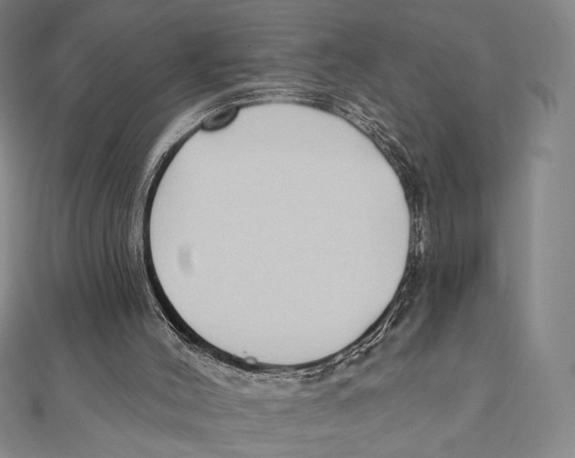 X0000111480004200908111212