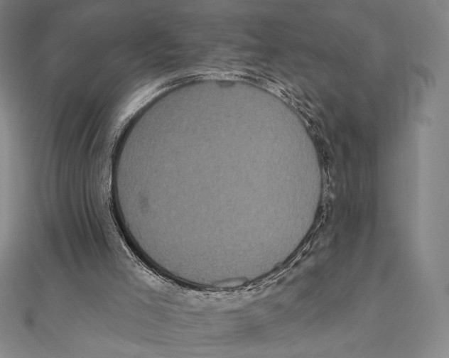 X0000111480005200908111212