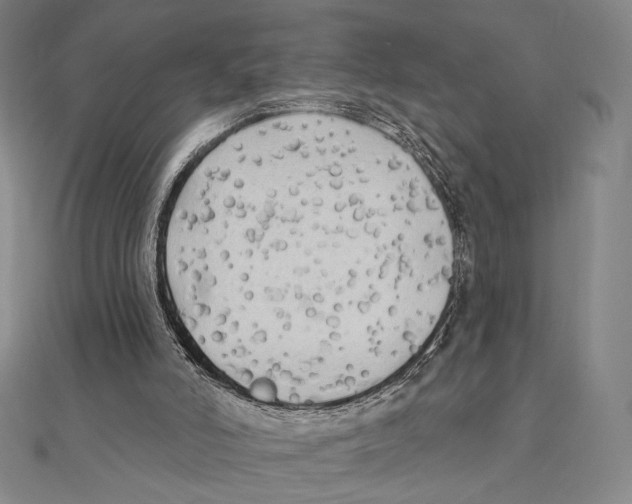 X0000111480006200908111212