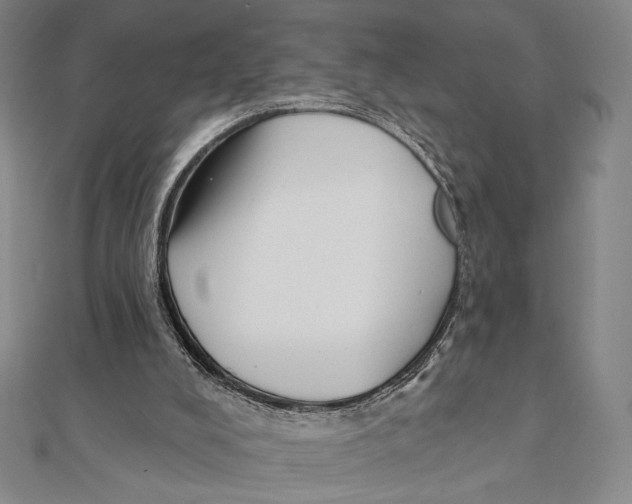 X0000111480008200908111212