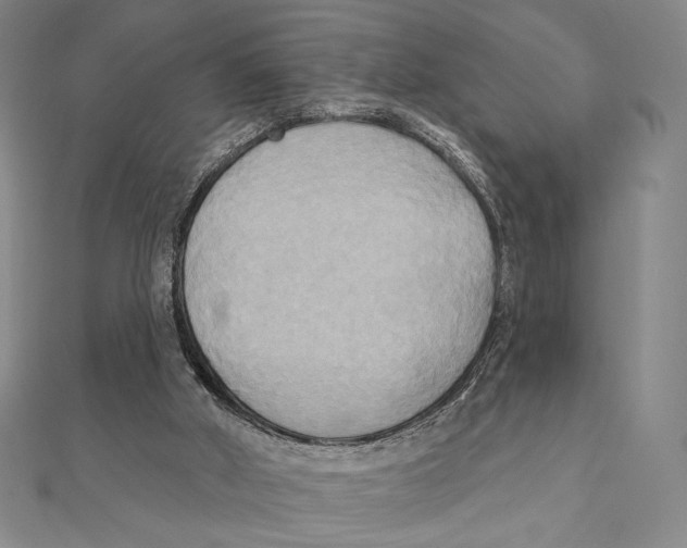 X0000111480010200908111212