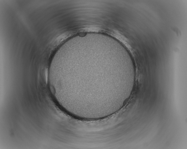 X0000111480013200908111212