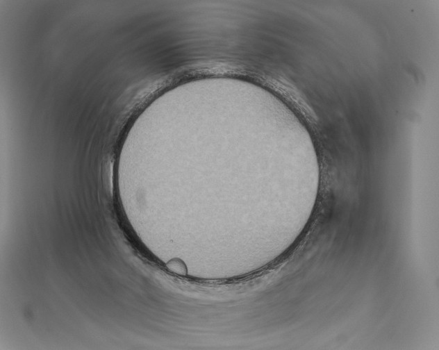 X0000111480014200908111212