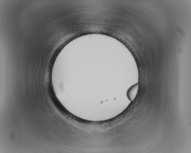 X0000111480016200908111212