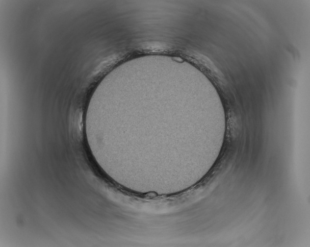 X0000111480024200908111211