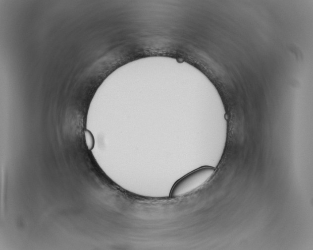 X0000111480025200908111211