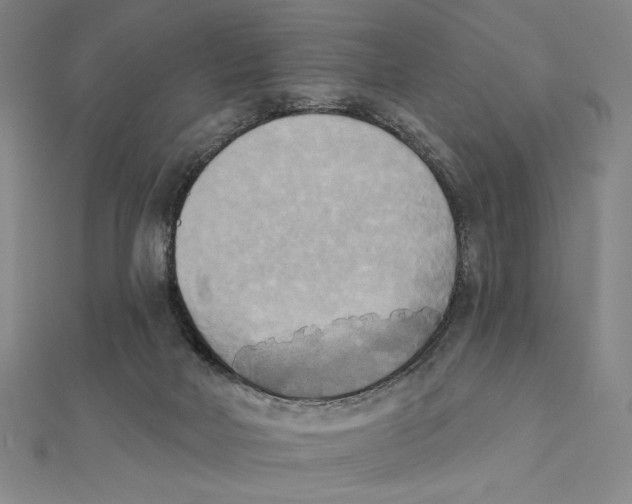 X0000111480026200908111211