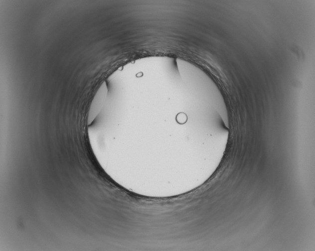 X0000111480029200908111211