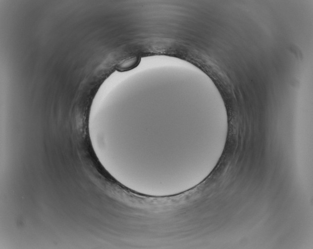 X0000111480031200908111211