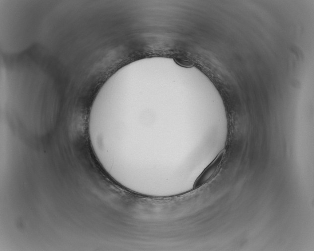 X0000111480033200908111211