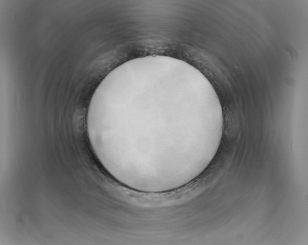 X0000111480034200908111211