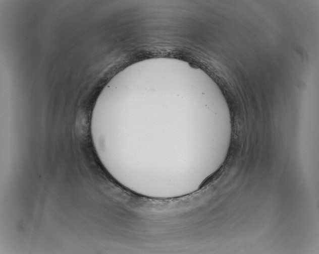 X0000111480037200908111211