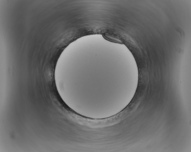 X0000111480039200908111211