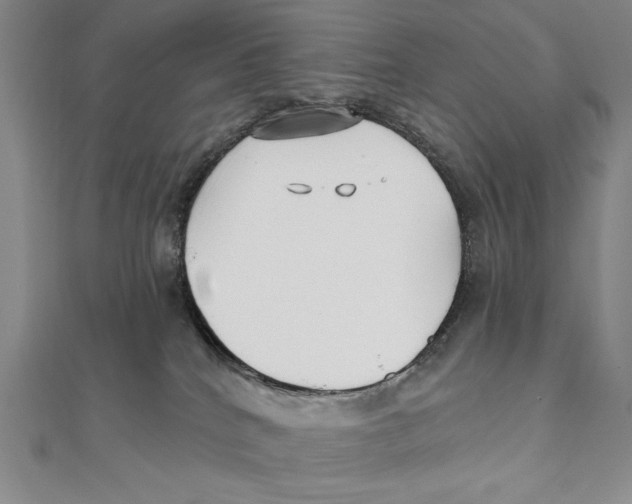 X0000111480040200908111211