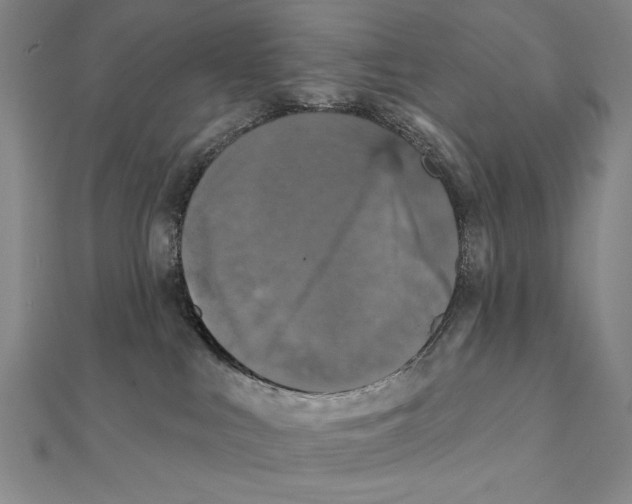 X0000111480043200908111211