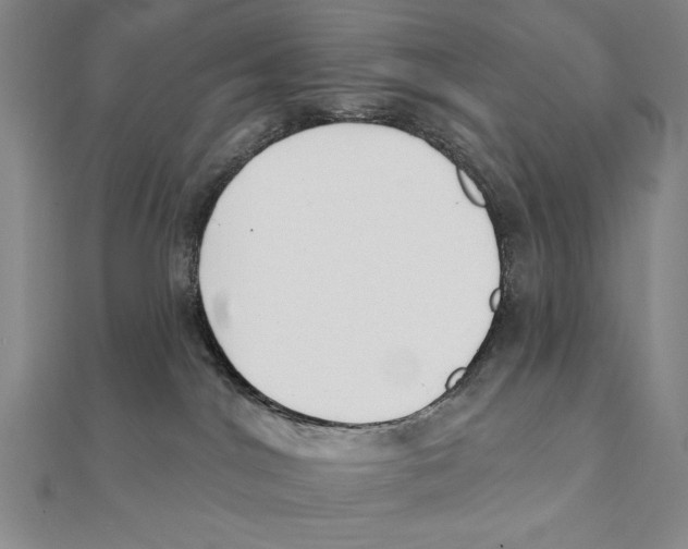 X0000111480044200908111211