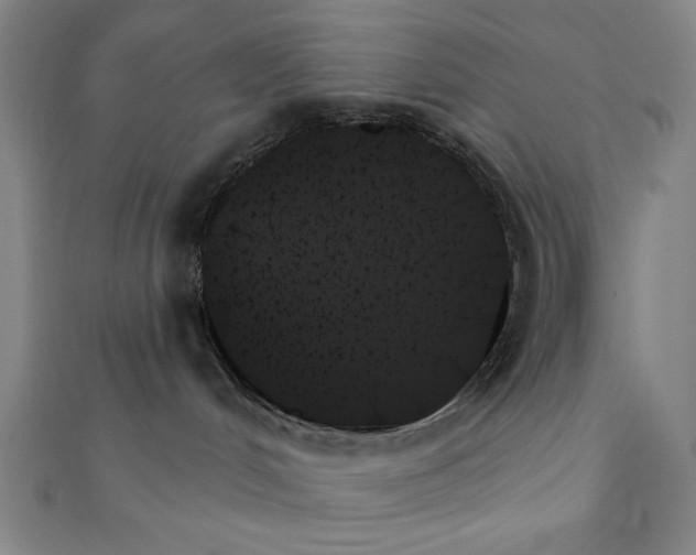 X0000111480048200908111211