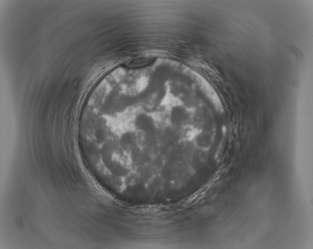 X0000111480049200908111211