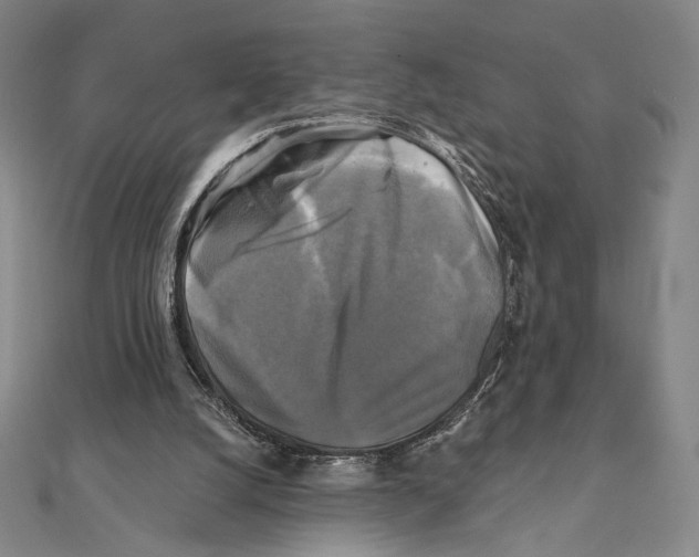 X0000111480056200908111211
